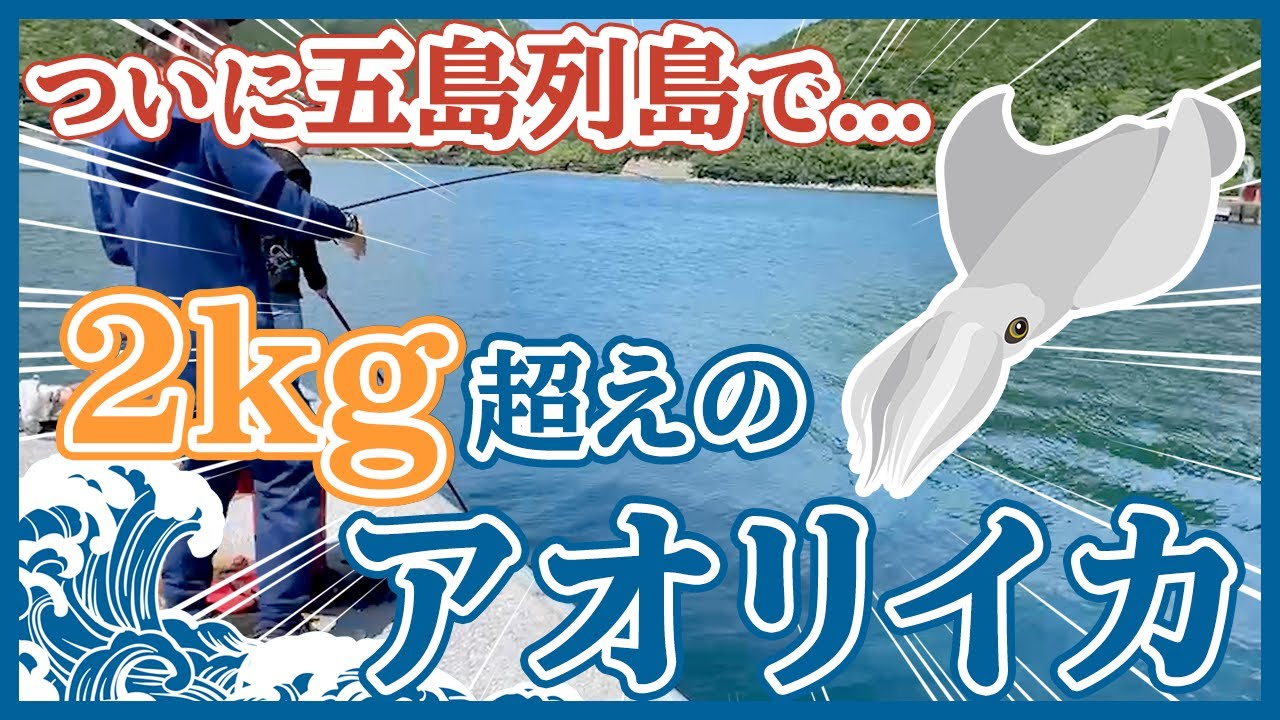 アオサ採り 五島列島 冬の風物詩アオサ採り 自宅で乾燥させて かき揚げと味噌汁で食べました Youtube