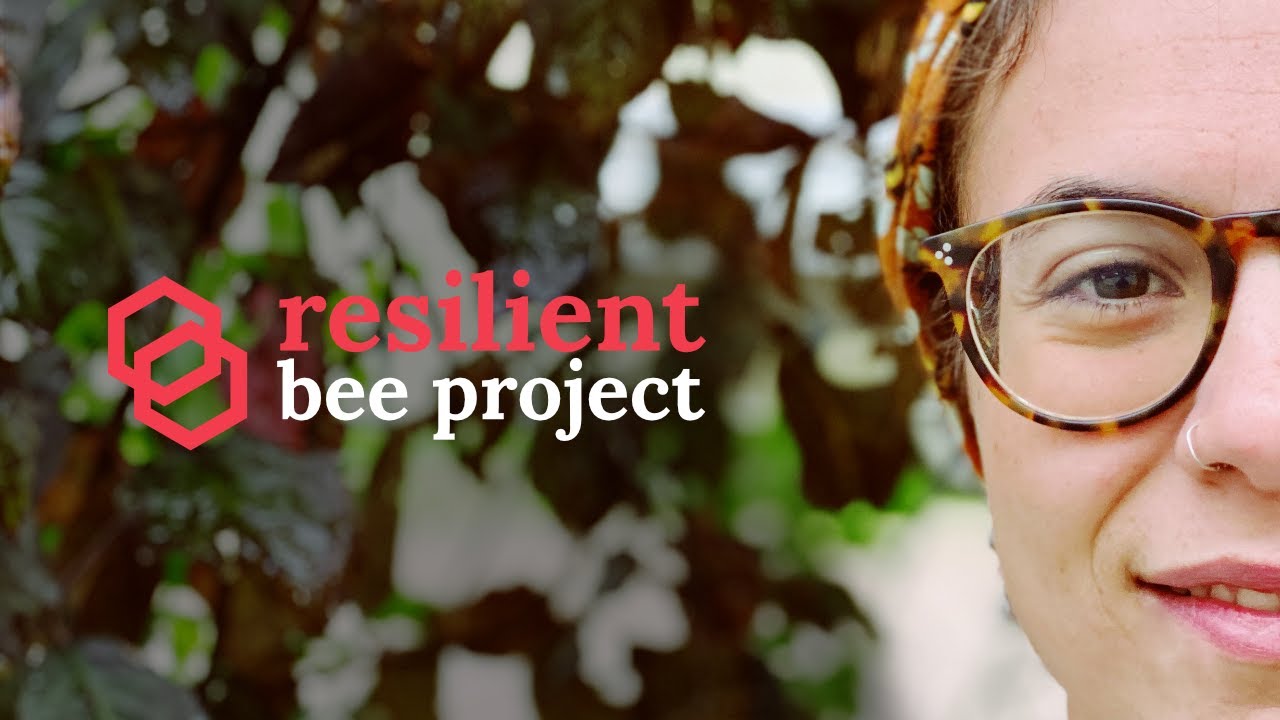 RESILIENT BEE PROJECT - Become a Bee Guardian and SAVE HONEYBEES