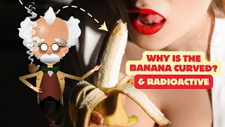 Why is the banana curved (and radioactive)?