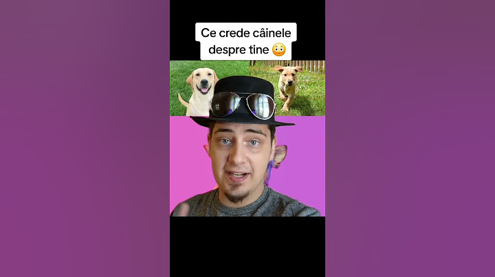 CE CREDE CÂINELE DESPRE TINE 😳
