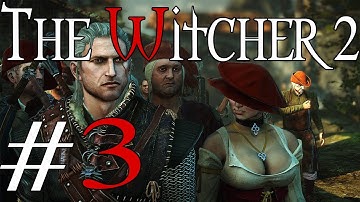 The Witcher 2: Assassins of Kings - Part 3: No Ninja Turtles Here