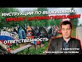 Антимогилизация с адвокатом Александром Чаузовым.  часть 6.  Ответственность