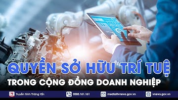 Thực thi quyền sở hữu trí tuệ trong cộng đồng doanh nghiệp - VNews