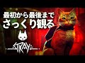 最初から最後までさっくり観る『Stray』|サイバーパンク野良猫廃墟謎解きアクションアドベンチャー的なゲーム