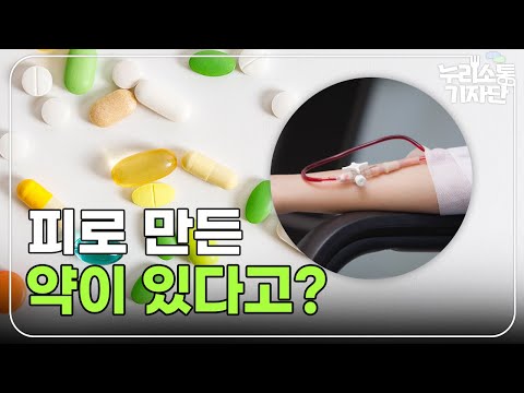 헌혈한 피는 어떻게 쓰일까?