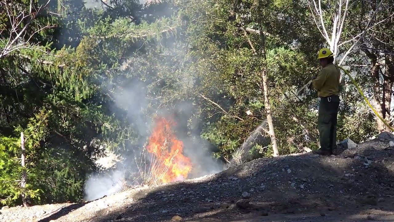  Prescribed burn footage from the Forest Service,  December 16, 2025, from Mt. Baldy, CA. 