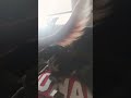 Pups gotta to go!