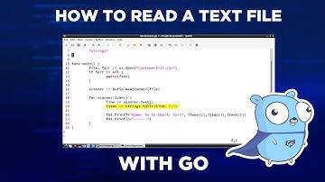 How to Read a Text File with Go
