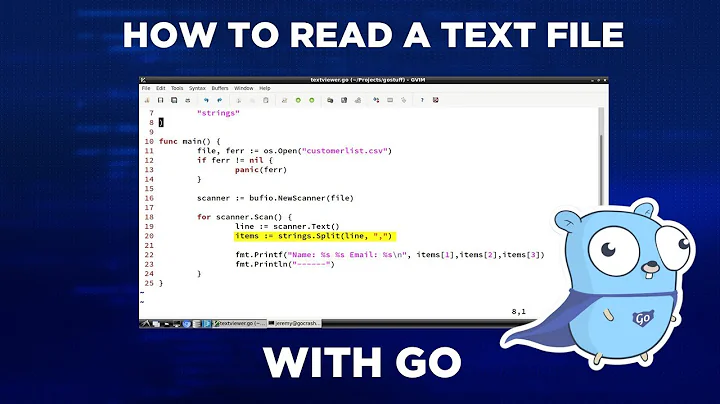 How to Read a Text File with Go