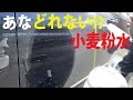 シリコン含浸ボディと小麦粉水のコラボは洗浄能力がびっくりパワーw(ﾟoﾟ)w　PART2　あなたもできる簡単調合X1！　How to wash the carbody by flour？