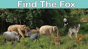 Find The Hidden Animal | Find The Different Emoji | Find The Number | Missing Circle | Multiple Game