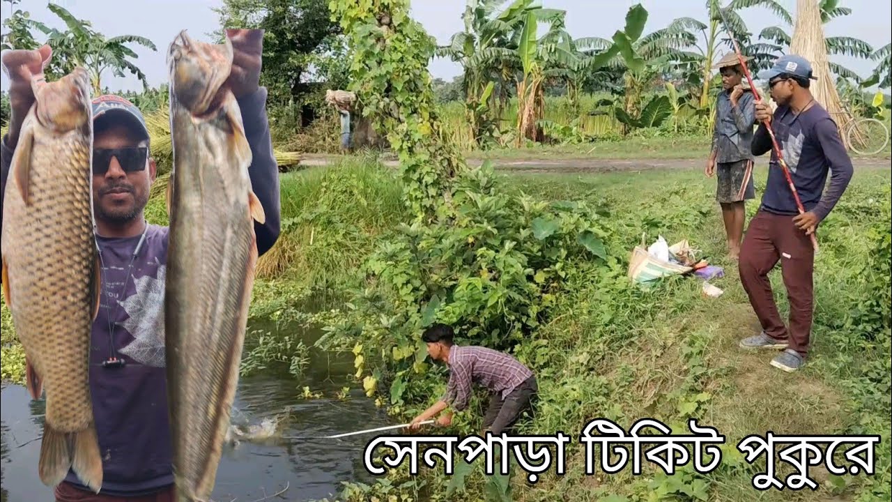 টিকিট পুকুরে মাছ শিকার | how to catch fish with hook | rod fishing 