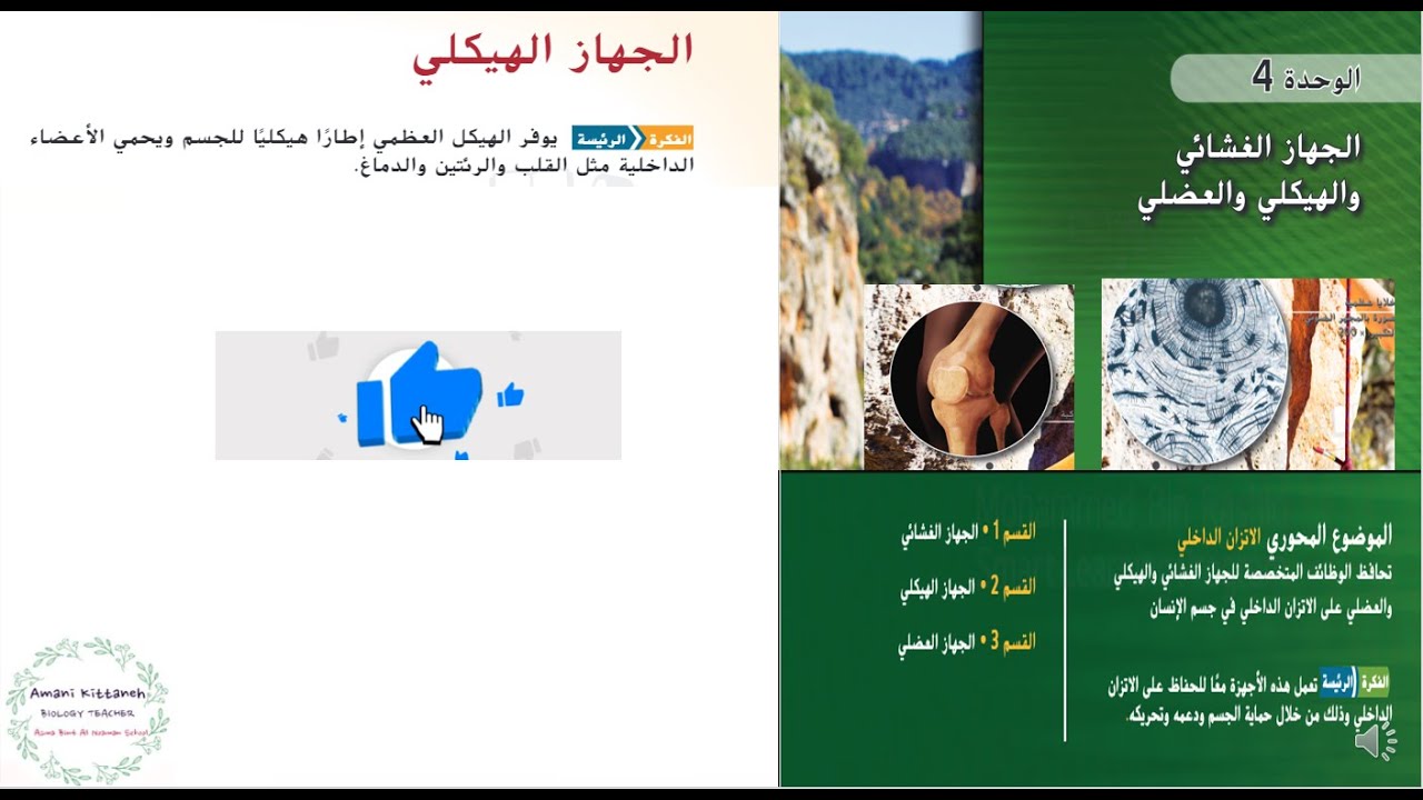 الجهاز الهيكلي