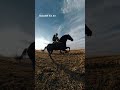 これ、追走ドローンじゃありません🐎