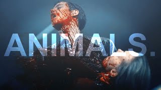 Multi-Horror || Animals {Collab w/Lexi]