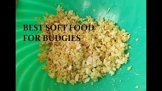 Budgies Parrots ke Lye best SOFT FOOD proof ke sath weekly schedule in Urdu/Hindi. screenshot 4