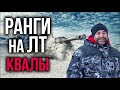 Отдохнувший Вспышка Вернулся! | WoT. Ранговые бои 1