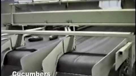 Kerian Fruit and Vegetable Sizer