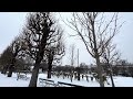 Snowfall in Vienna | Walking Through a Snow-Covered Volksgarten ❄️ #Volksgarten #Vienna #snowfall 