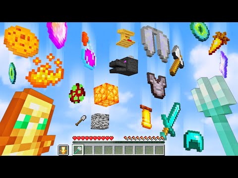 Video: So erstellen Sie einen privaten Minecraft-Server (mit Bildern)