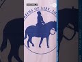 Reins of Life hosts 28th annual Kelsey Marie Meekhof Memorial fundraiser