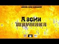 WAYMAKA A SOMN Visualizer 