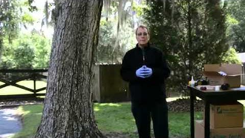 Overview - Using the Tree Tech Micro injection System