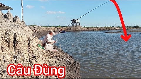 Trở lại Đùng 50k | Câu Bống Đục và cá Ngát/ Mỹ Xuân BRVT/ Câu cá thiên nhiên