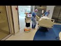 Scalable and heterogenous mobile robot fleet-based task automation in crowded hospital environments