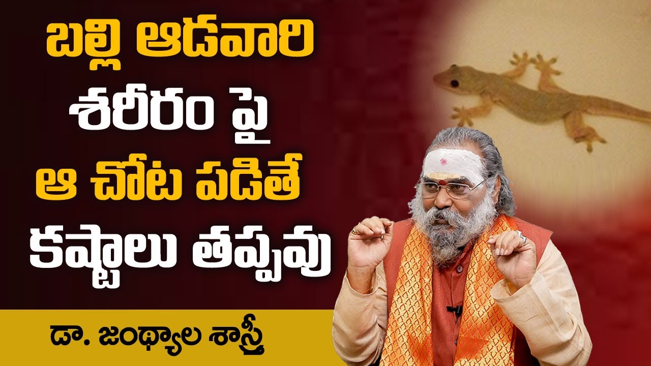 బల్లి ఆడవారి శరీరం పై ఆ చోట పడితే కష్టాలు తప్పవు !! Effects of Lizard Falling !! Dr Jandhyala Sastry