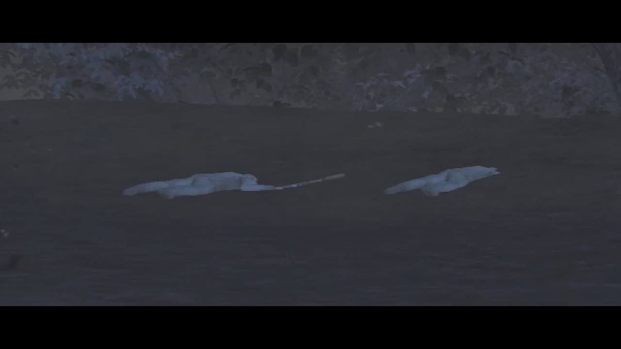 Stalker online / STAY OUT ll RU3/МСК ll Работает штурмовик союза WAR / Вторая неделя активной войны