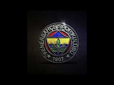 SARI VE LACİVERT