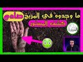 يا خسارة التعليم الذي تعلمناه اكتشاف مريخي وراءه معلومة صادمة جدا 