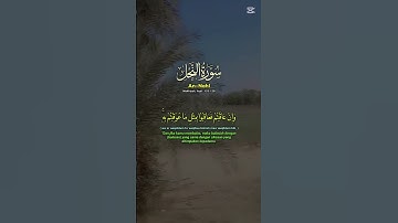 #سورة_النحل#القرآن_الكريم#المغرب #راحة_نفسية#لايك#اكسبلور #اكسبلور #ارح_قلبك 🇲🇦🇲🇦