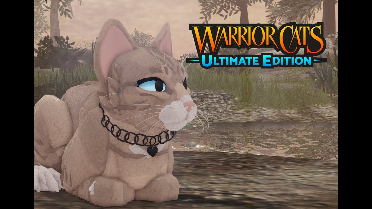 Warrior Cats Ultimate Edition Test Server Preview Youtube - warrior cats test roblox