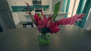 Take a Tour of this Luxury Beachfront Villa in Belize | Villa Armoniosa