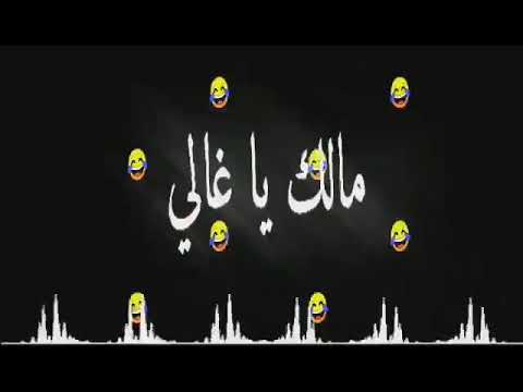 شاشه سودا جينا جينا غبنا غبنا