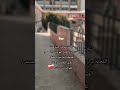 ذكريات المدرسة الأصدقاء 