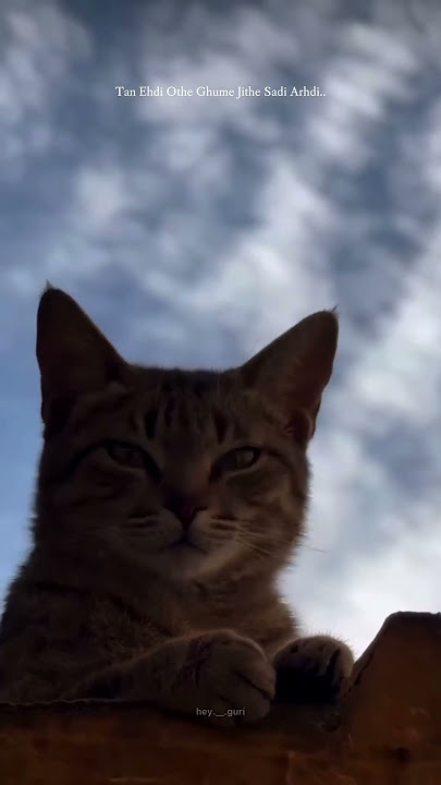 Patti Ton Patiala || Harkirat Sangha || Latest Punjabi Songs #itsguriji #shorts #harkiratsangha