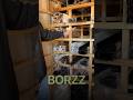 #flexy #borzz #карниз #натяжныепотолки #флекси #скайсервис #дизайнинтерьера
