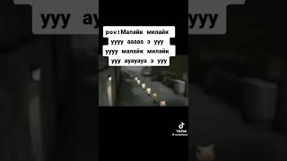 МАЛАЙ БИЛАЙ