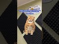 🙂↔️А як почався Ваш тиждень? #понеділок #work #radio #funny