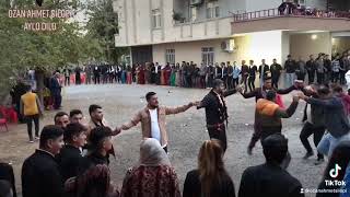 Ozan Ahmet Silopi. Aylo Dilo Dilo