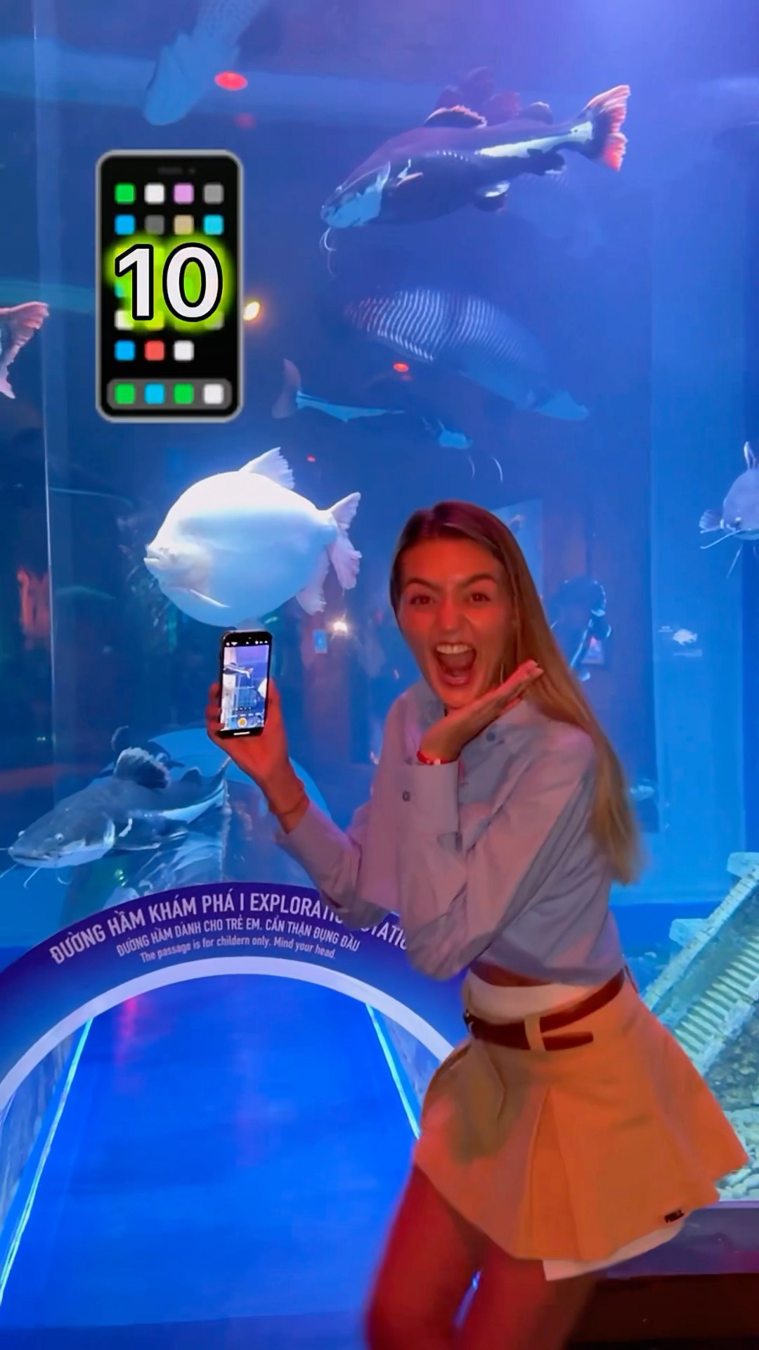 Aquarium??Rate the result 1-10??