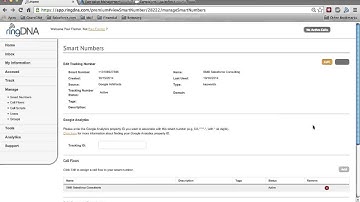 Twilio - RingDNA softphone for Salesforce.com CRM w/ ROI Tracking