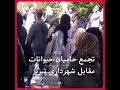 تجمع حامیان حیوانات در اعتراض به کشتار بی رحمانه ی سگ ها تجمع حامیان حیوانات در اعتراض به کشتار بی رحمانه ی سگ ها