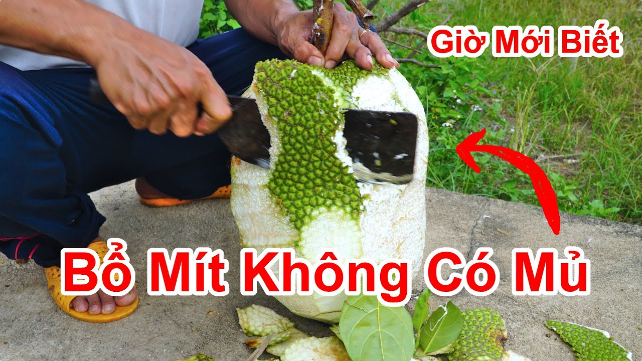 Sống 50 Năm Cuộc Đời Giờ Mới Biết / Cách Bổ Mít Không Bao Giờ Có Mủ Dính Cực Hay . Mẹo Hay Với Mít
