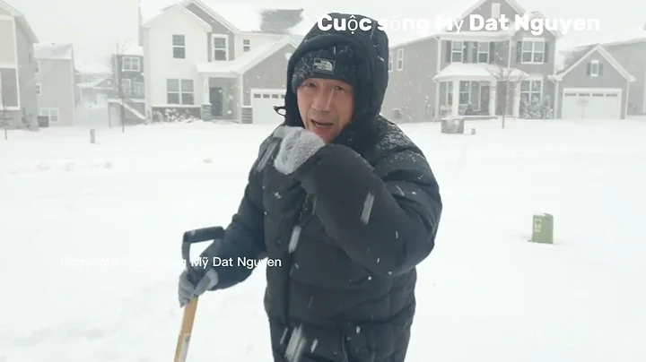 Dat Nguyen Tranh Th Dn i Tiu Bang m , V Minnesota ...