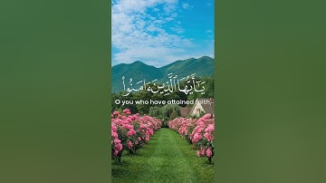 الشيخ ماهر المعيقلي (سورة الأحزاب) #اكسبلور