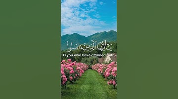 الشيخ ماهر المعيقلي (سورة الأحزاب)